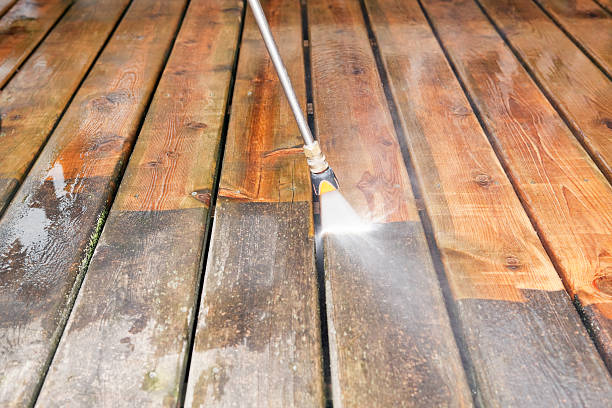 Roof Power Washing Services in Anoka, MN